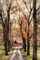 On Those Country Roads Poster Print by Lori Deiter - Item # VARPDXLD1153